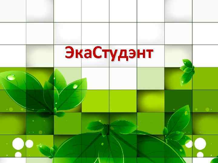 Эка. Студэнт 