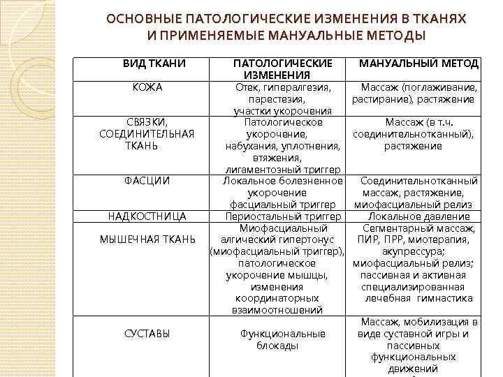 ОСНОВНЫЕ ПАТОЛОГИЧЕСКИЕ ИЗМЕНЕНИЯ В ТКАНЯХ И ПРИМЕНЯЕМЫЕ МАНУАЛЬНЫЕ МЕТОДЫ ВИД ТКАНИ КОЖА СВЯЗКИ, СОЕДИНИТЕЛЬНАЯ