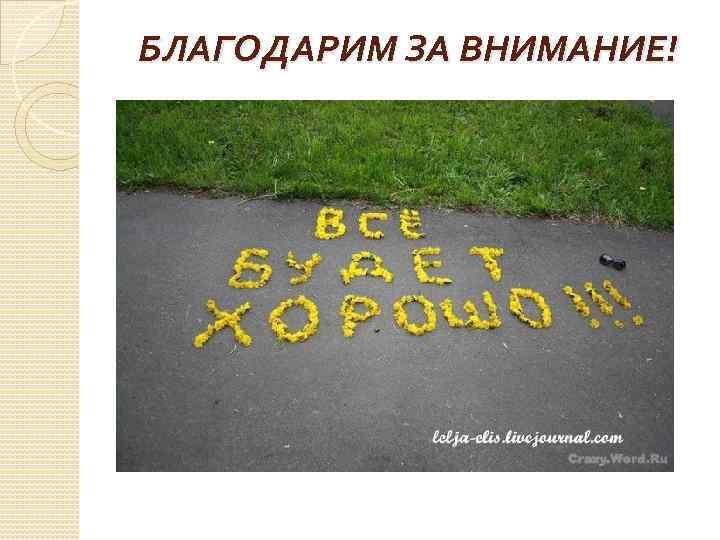 БЛАГОДАРИМ ЗА ВНИМАНИЕ! 