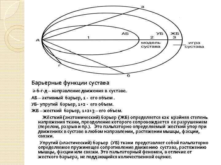 Барьерные функции сустава а-б-г-д – направление движения в суставе. АБ – активный барьер, 1