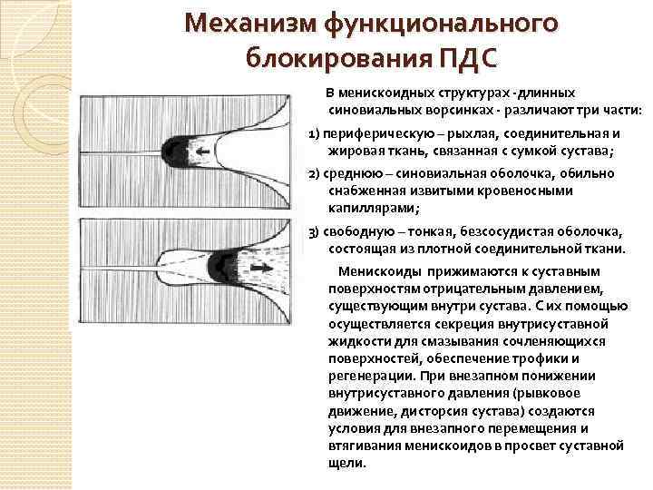 Дисторсия шейного. Функциональная блокада. Функциональная блокада позвоночно-двигательного сегмента.