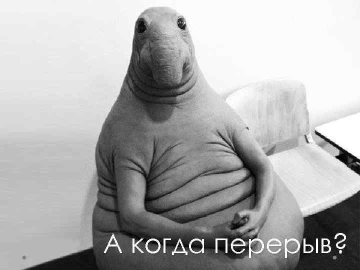 А когда перерыв? 