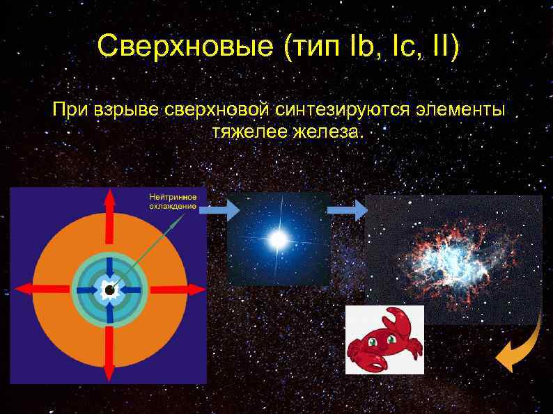 Сверхновые (тип Ib, Ic, II) При взрыве сверхновой синтезируются элементы тяжелее железа. 