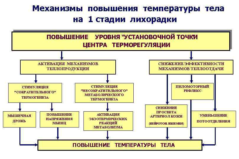 Продолжите схему терморегуляции повышение температуры окружающей среды