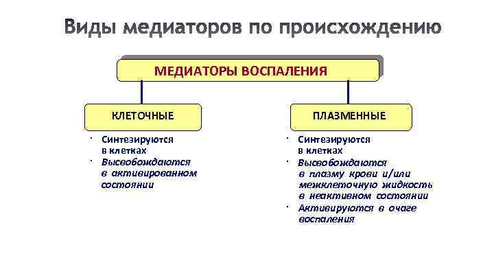 Воспаление патофизиология презентация