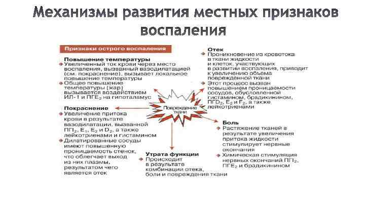 Презентация анорексия патофизиология