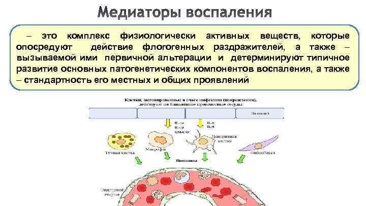 Медиаторы воспаления это