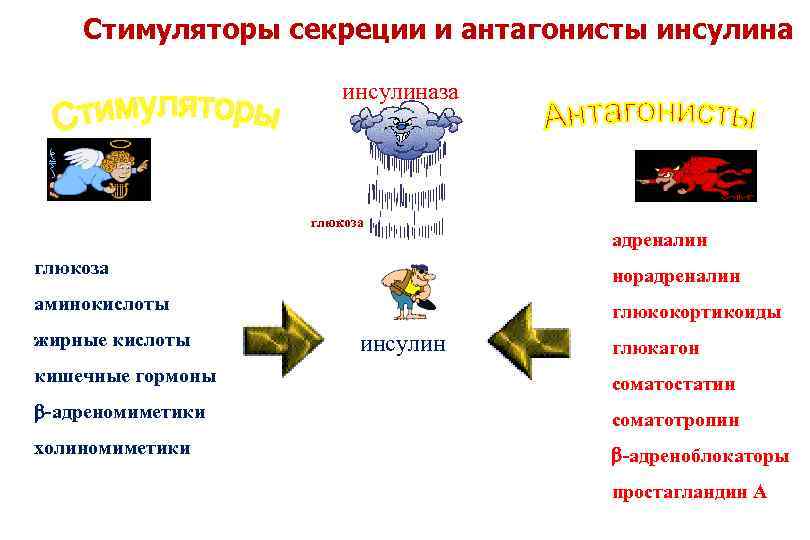 Стимуляторы секреции и антагонисты инсулиназа глюкоза адреналин глюкоза норадреналин аминокислоты глюкокортикоиды жирные кислоты инсулин