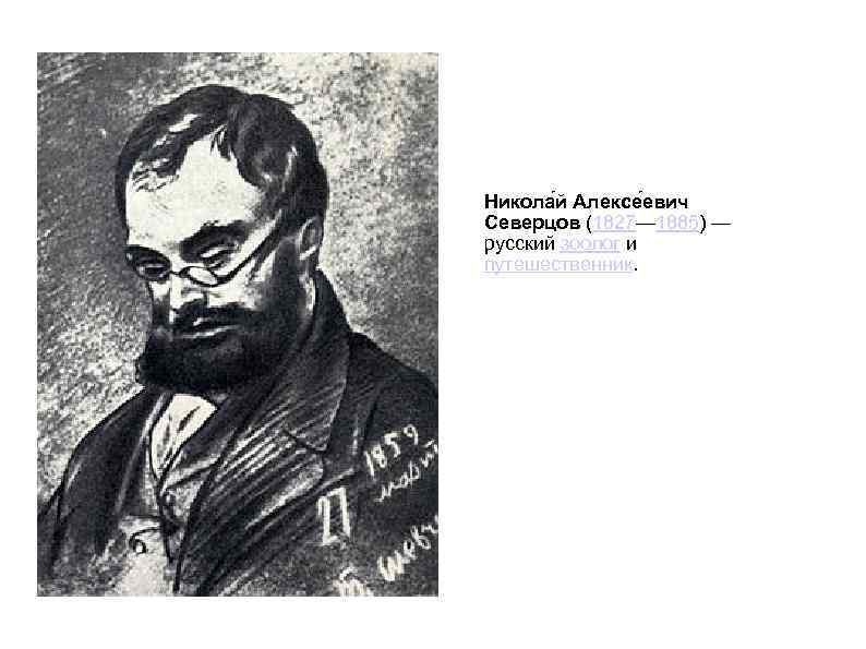 Никола й Алексе евич Северцов (1827— 1885) — русский зоолог и путешественник. 