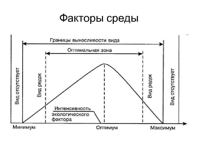 Факторы среды 