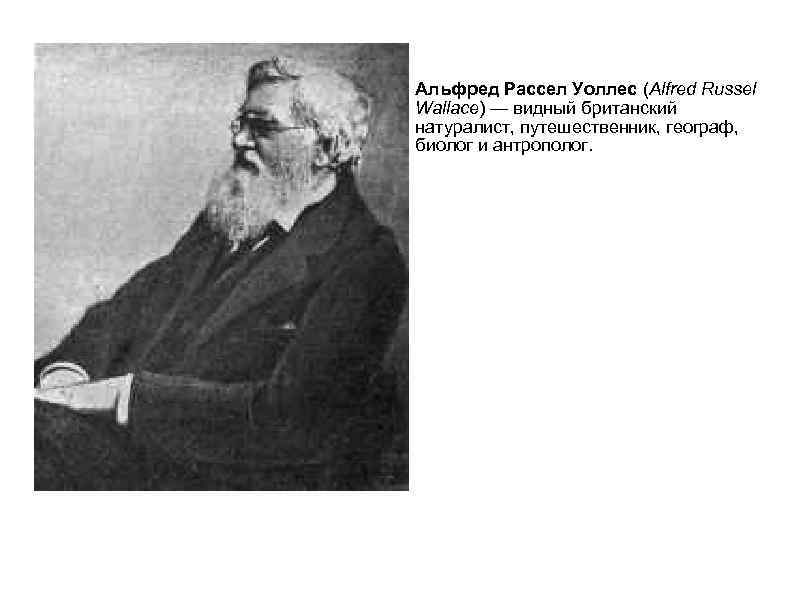 · Альфред Рассел Уоллес (Alfred Russel Wallace) — видный британский натуралист, путешественник, географ, биолог