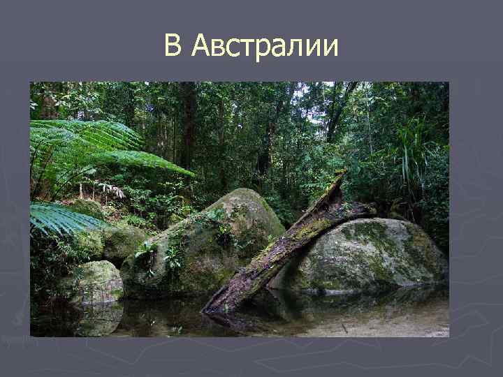В Австралии 