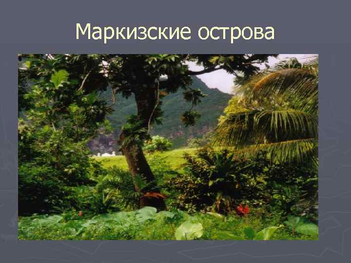 Маркизские острова 