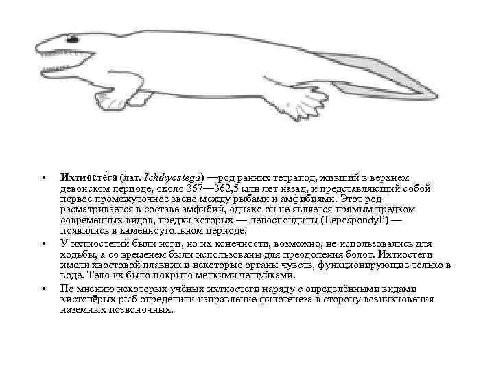  • • • Ихтиосте га (лат. Ichthyostega) —род ранних тетрапод, живший в верхнем