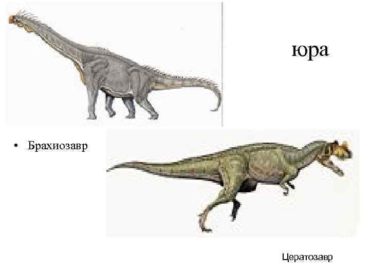 юра • Брахиозавр Цератозавр 