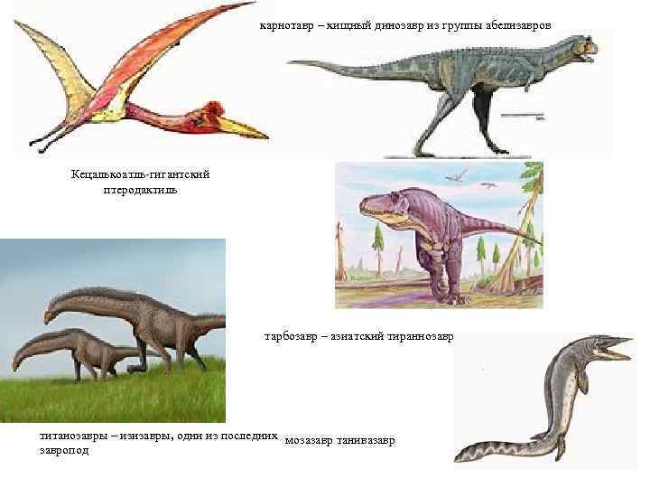 карнотавр – хищный динозавр из группы абелизавров Кецалькоатль-гигантский птеродактиль тарбозавр – азиатский тираннозавр титанозавры