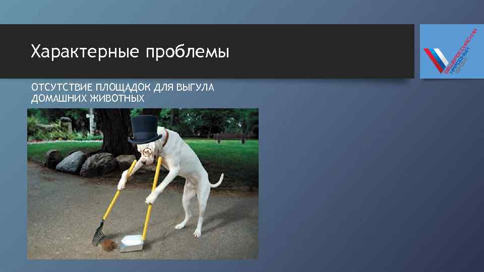 Характерные проблемы ОТСУТСТВИЕ ПЛОЩАДОК ДЛЯ ВЫГУЛА ДОМАШНИХ ЖИВОТНЫХ 