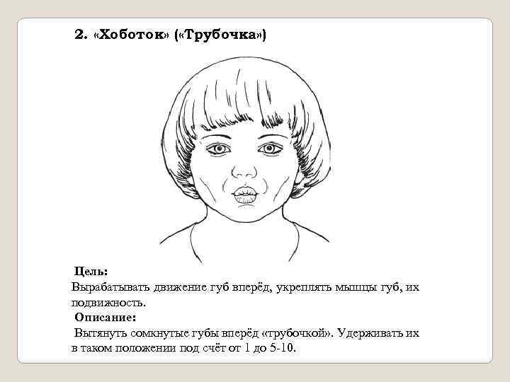 2. «Хоботок» ( «Трубочка» ) Цель: Вырабатывать движение губ вперёд, укреплять мышцы губ, их