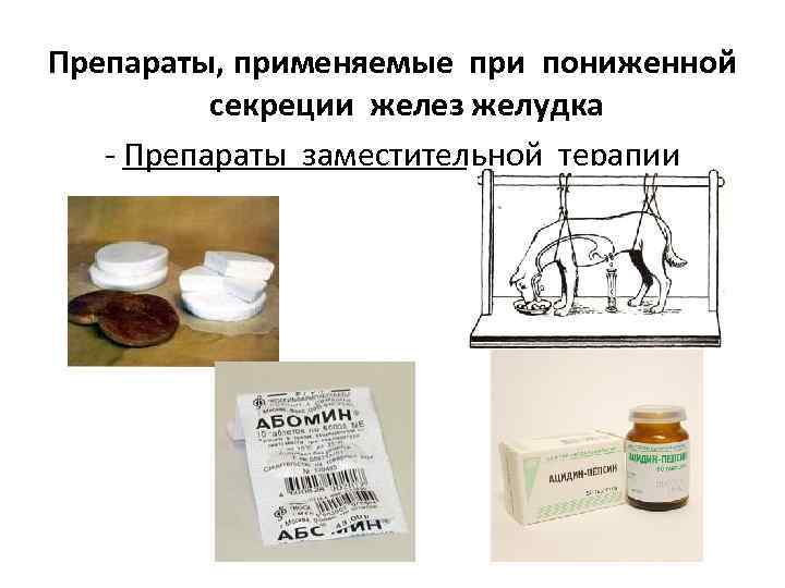 Препараты, применяемые при пониженной секреции желез желудка - Препараты заместительной терапии 