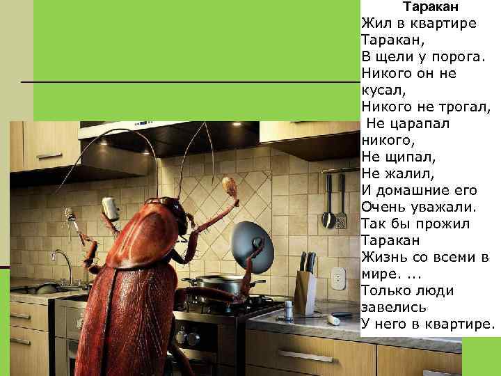 Таракан Жил в квартире Таракан, В щели у порога. Никого он не кусал, Никого
