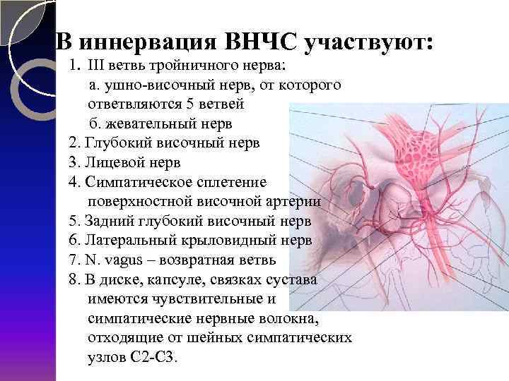 Височный нерв. Ушно височный нерв ветвь. Височно-нижнечелюстной сустав кровоснабжение и иннервация.