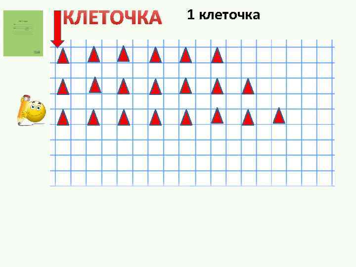 КЛЕТОЧКА 1 клеточка 