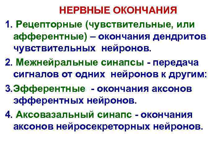 НЕРВНЫЕ ОКОНЧАНИЯ 1. Рецепторные (чувствительные, или афферентные) – окончания дендритов чувствительных нейронов. 2. Межнейральные
