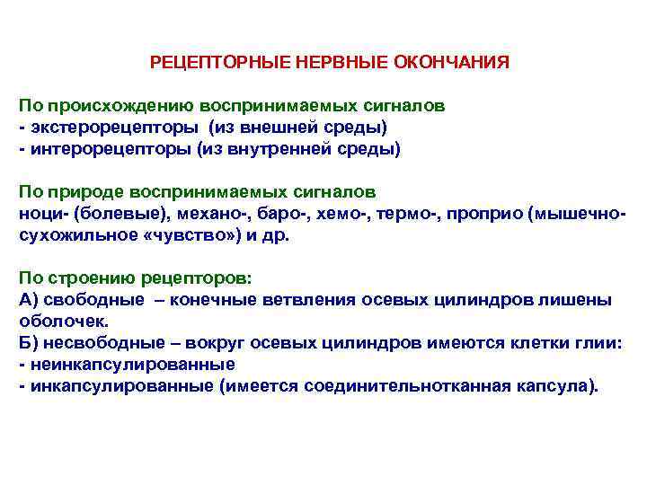 РЕЦЕПТОРНЫЕ НЕРВНЫЕ ОКОНЧАНИЯ По происхождению воспринимаемых сигналов - экстерорецепторы (из внешней среды) - интерорецепторы