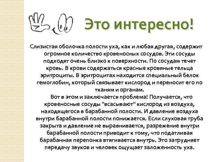 Это интересно! Слизистая оболочка полости уха, как и любая другая, содержит огромное количество кровеносных