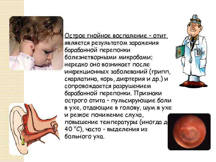 Острое гнойное воспаление – отит является результатом заражения барабанной перепонки болезнетворными микробами; нередко оно