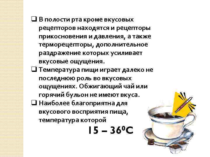 q В полости рта кроме вкусовых рецепторов находятся и рецепторы прикосновения и давления, а