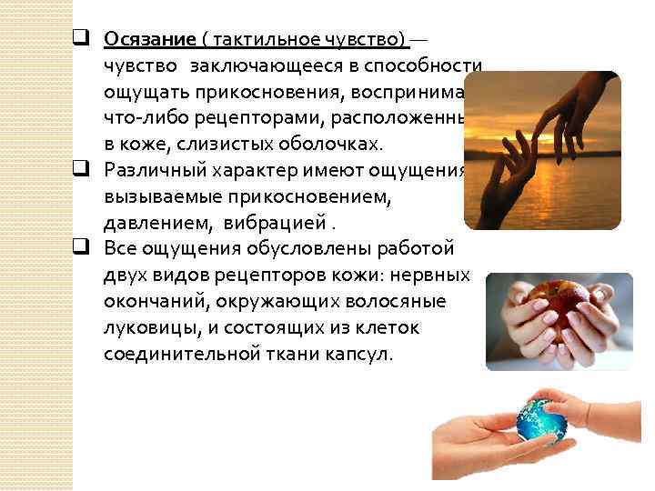 q Осязание ( тактильное чувство) — чувство заключающееся в способности ощущать прикосновения, воспринимать что-либо