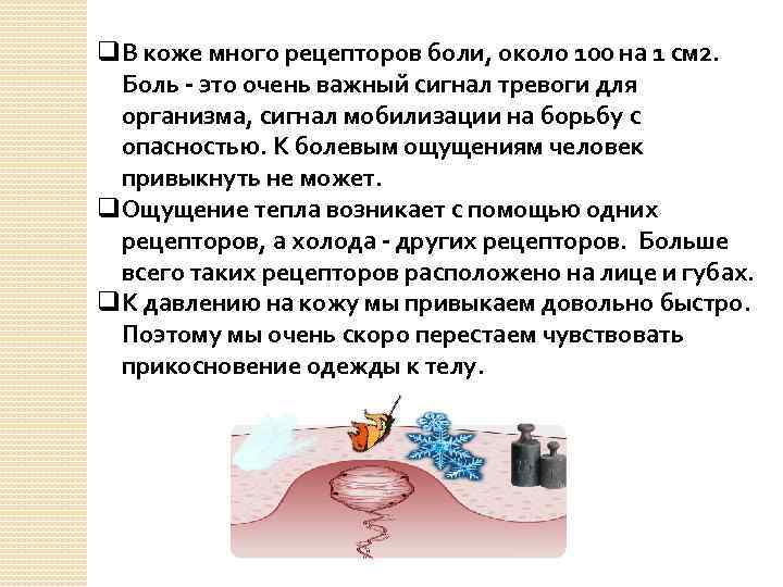 q. В коже много рецепторов боли, около 100 на 1 см 2. Боль -