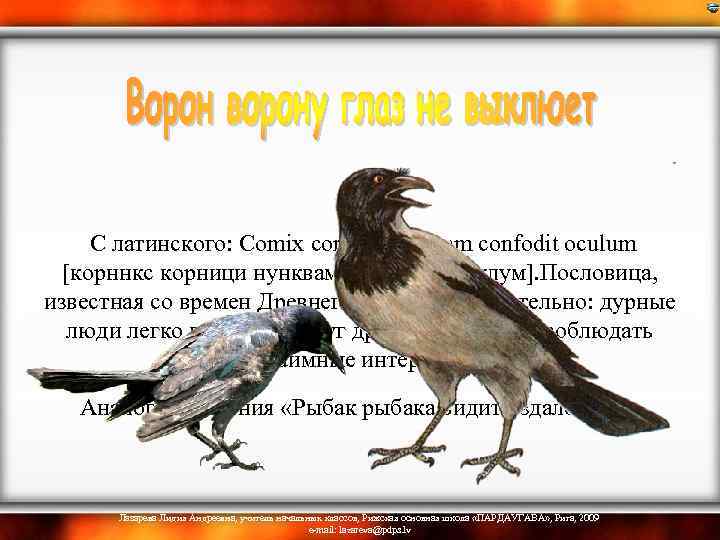  С латинского: Comix cornici nunquam confodit oculum [корннкс корници нунквам конфодит окулум]. Пословица,