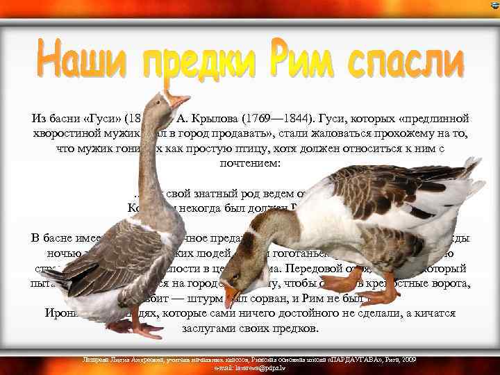  Из басни «Гуси» (1811) И. А. Крылова (1769— 1844). Гуси, которых «предлинной хворостиной
