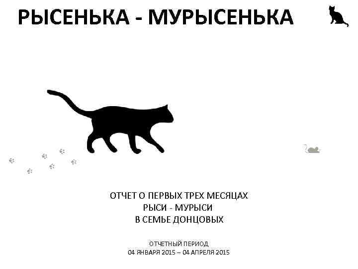 РЫСЕНЬКА - МУРЫСЕНЬКА ОТЧЕТ О ПЕРВЫХ ТРЕХ МЕСЯЦАХ РЫСИ - МУРЫСИ В СЕМЬЕ ДОНЦОВЫХ