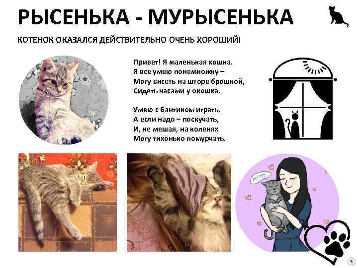 РЫСЕНЬКА - МУРЫСЕНЬКА КОТЕНОК ОКАЗАЛСЯ ДЕЙСТВИТЕЛЬНО ОЧЕНЬ ХОРОШИЙ! Привет! Я маленькая кошка. Я все