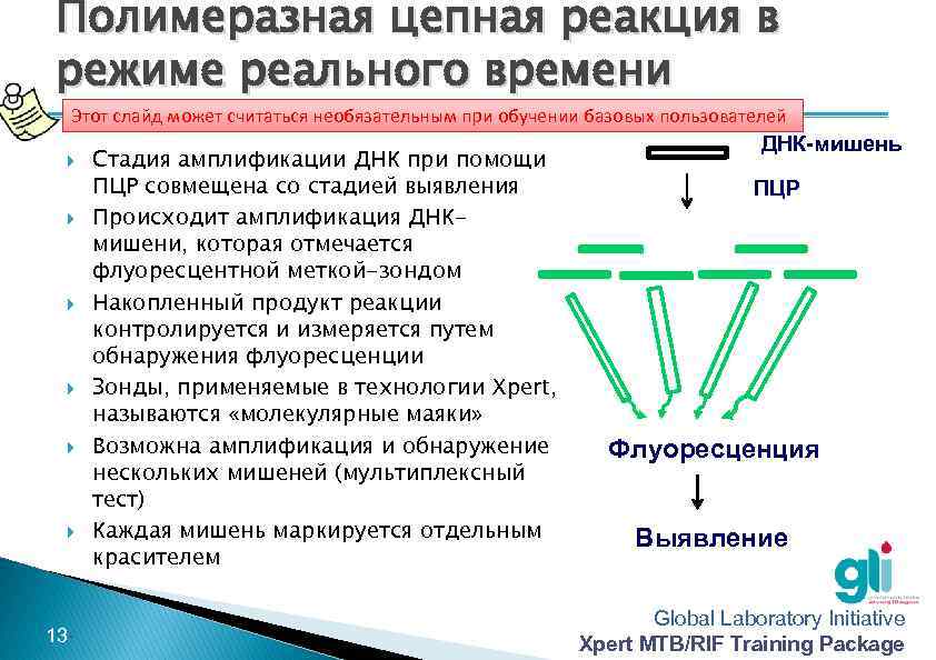 Полимеразная цепная реакция в режиме реального времени Этот слайд может считаться необязательным при обучении