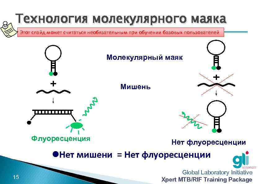 Технология молекулярного маяка Этот слайд может считаться необязательным при обучении базовых пользователей Молекулярный маяк