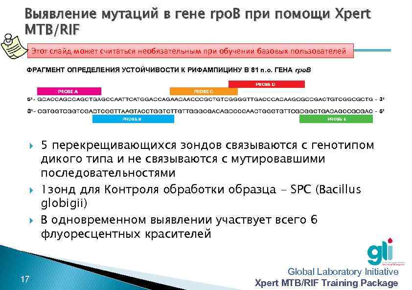 Выявление мутаций в гене rpo. B при помощи Xpert MTB/RIF Этот слайд может считаться