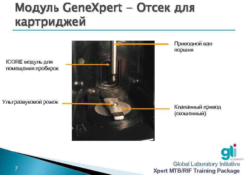 Модуль Gene. Xpert - Отсек для картриджей Приводной вал поршня ICORE модуль для помещения