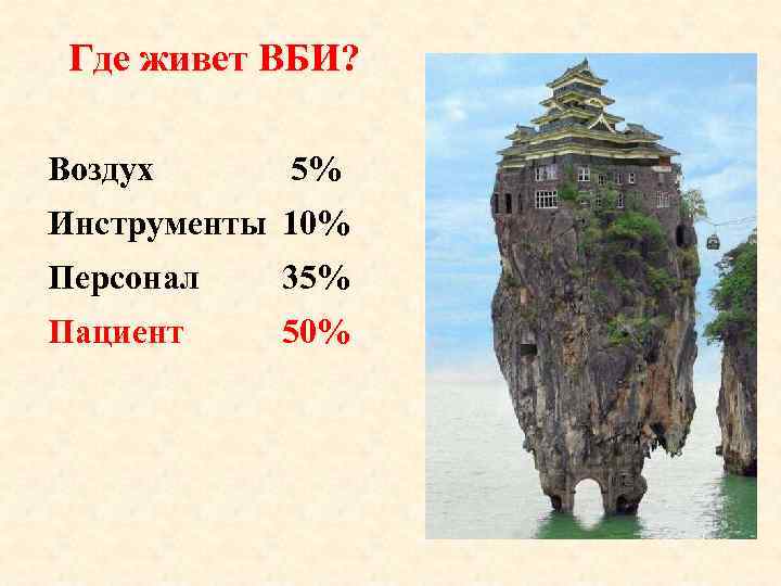  Где живет ВБИ? Воздух 5% Инструменты 10% Персонал 35% Пациент 50% 