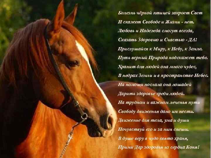 Болезнь чёрной птицей закроет Свет И скажет Свободе и Жизни - нет. Любовь и