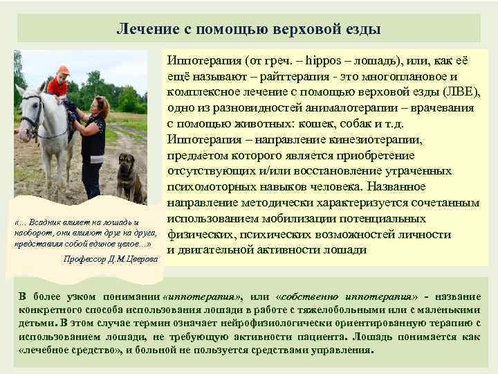 Лечение с помощью верховой езды «… Всадник влияет на лошадь и наоборот, они влияют