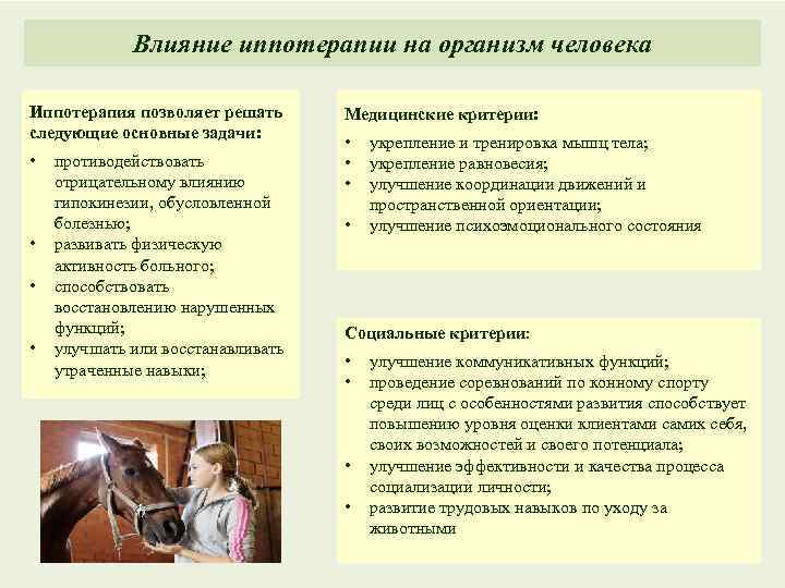 Влияние иппотерапии на организм человека Иппотерапия позволяет решать следующие основные задачи: • • противодействовать