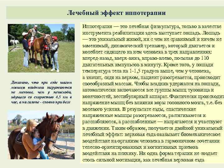Лечебный эффект иппотерапии Доказано, что при езде шагом мышцы всадника загружаются не меньше, чем