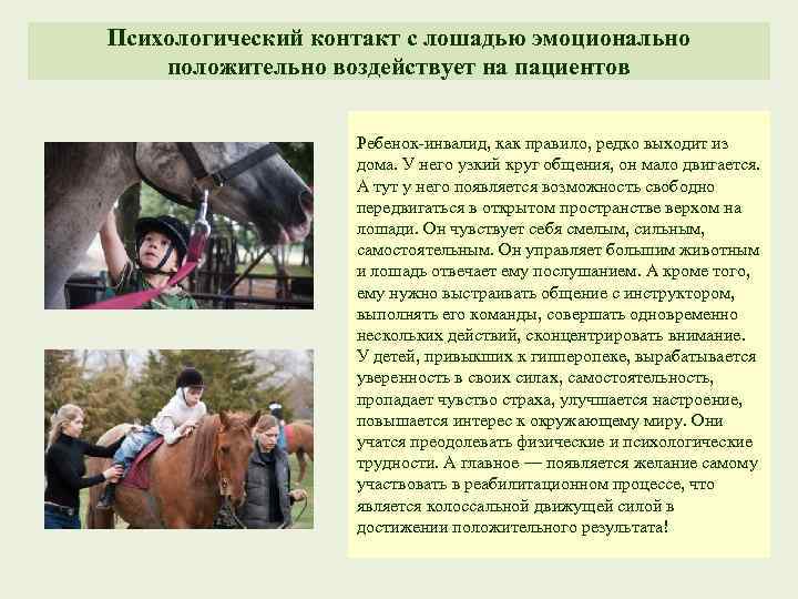 Психологический контакт с лошадью эмоционально положительно воздействует на пациентов Ребенок-инвалид, как правило, редко выходит