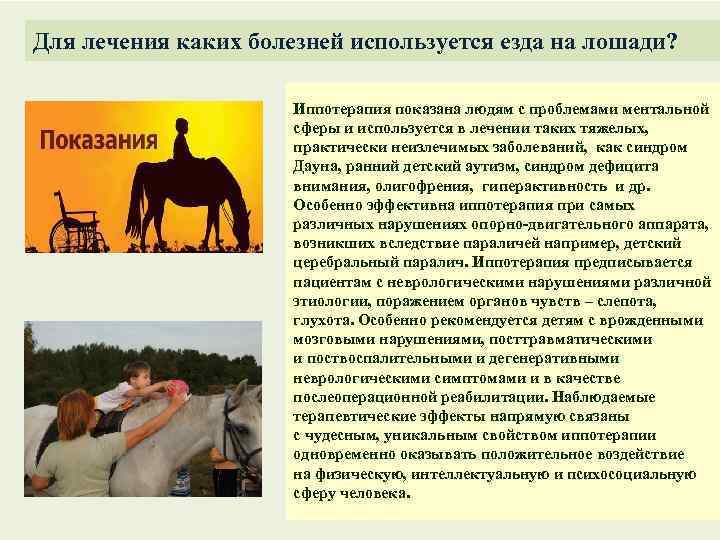 Для лечения каких болезней используется езда на лошади? Иппотерапия показана людям с проблемами ментальной