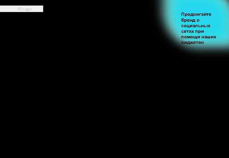 SE-Login Продвигайте бренд в социальных сетях при помощи наших виджетов 6 