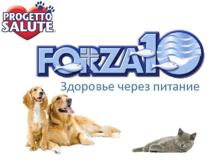 Здоровье через питание 